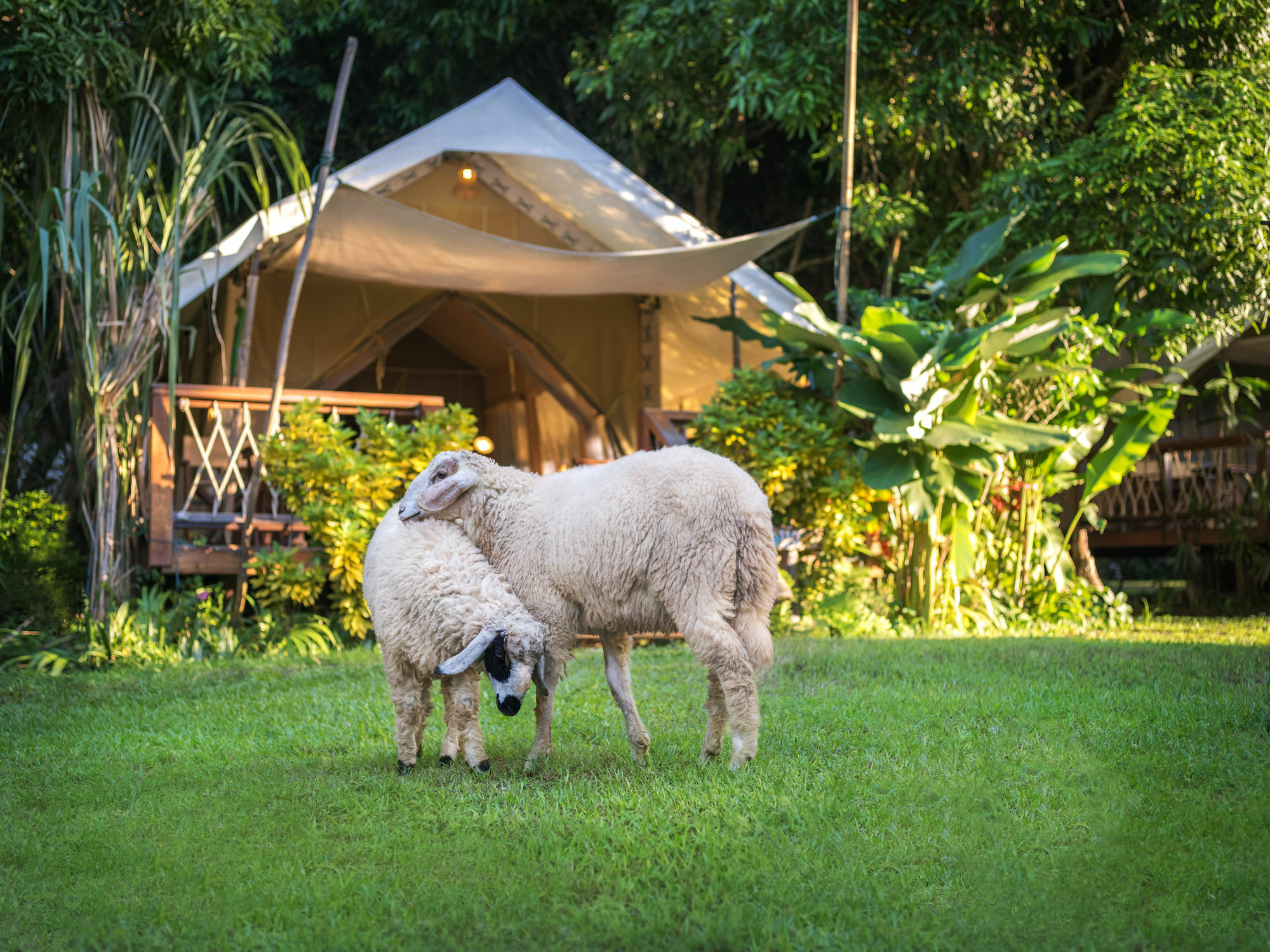 Hintok River Camp Ban Huai Maenam Noi Exteriör bild