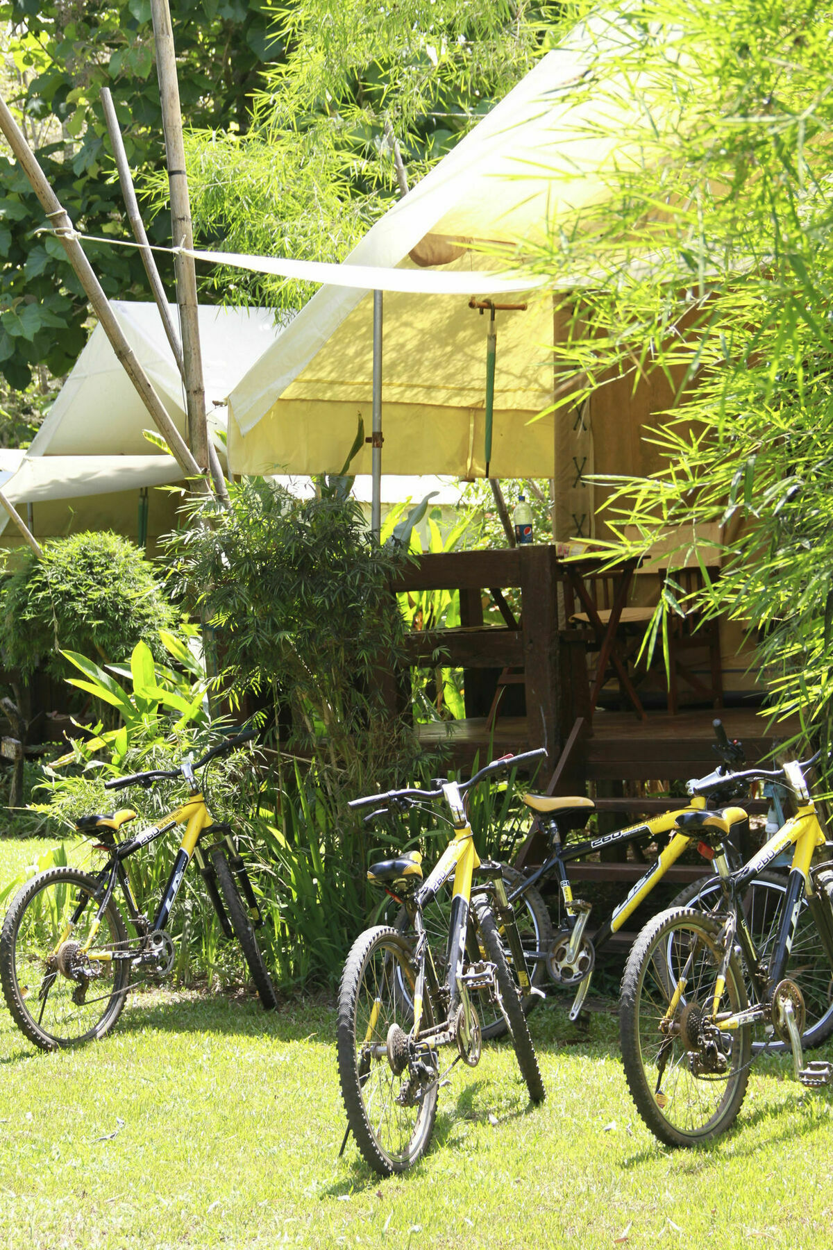 Hintok River Camp Ban Huai Maenam Noi Exteriör bild